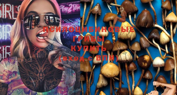 твердый Киренск