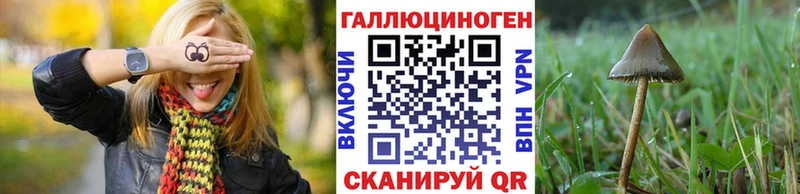 Купить Нарткала Псилоцибиновые грибы GOLDEN TEACHER